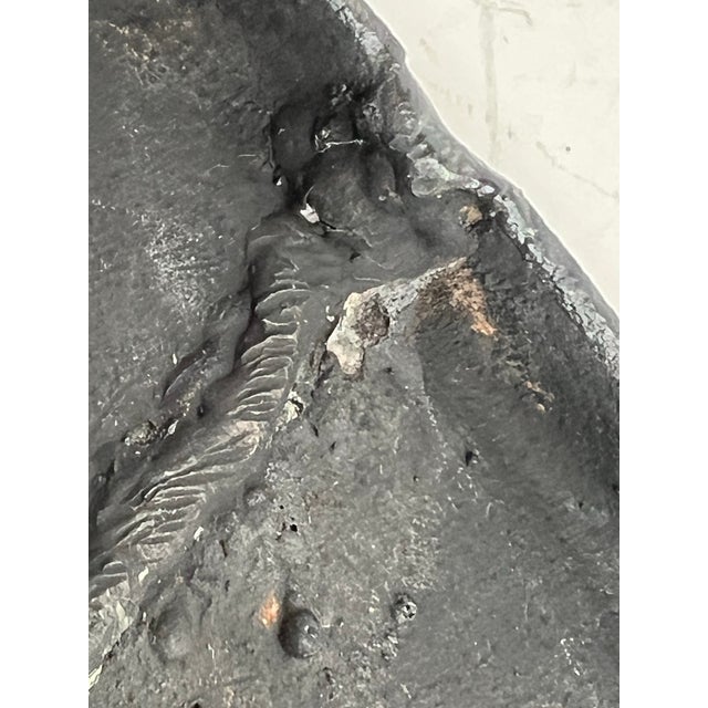 Antique Cast Iron Fireplace Fender Warmer Curved Hearth Bench With Cabriole Legs For Sale - Image 10 of 11