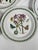 1972 Portmeirion Botanic Garden Dinner Plates- Set of 12 For Sale - Image 10 of 12