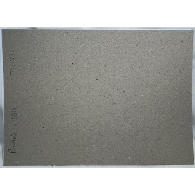 Antique Hand Tinted Bird Print From England Featuring a Grey Plover - Circa 1880 For Sale - Image 11 of 11