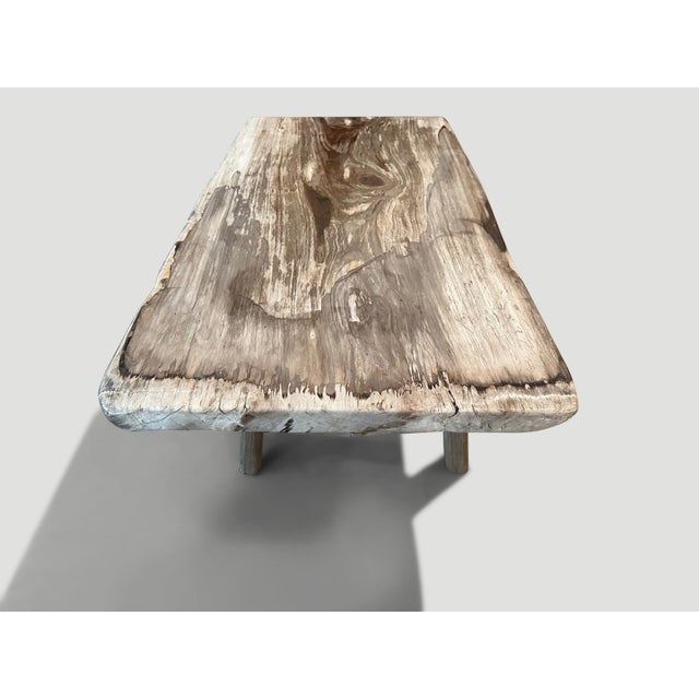 2010s Andrianna Shamaris Single Slab Petrified Wood Coffee Table For Sale - Image 5 of 6