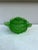 French Green Glass Cabbage Box Circa 1970.