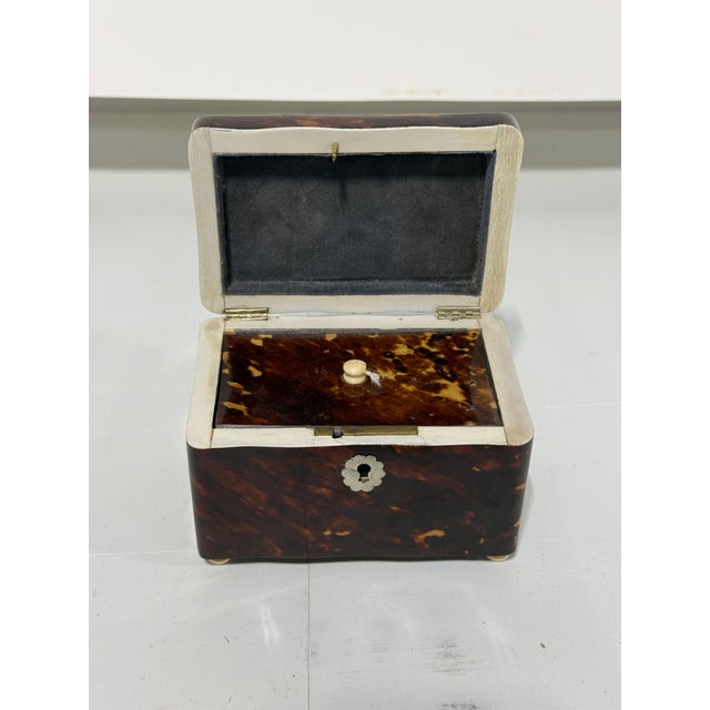 Wood Dutch Dome-Top Faux Tortoiseshell Tea Caddy With Mounts, Circa 1830 For Sale - Image 7 of 10