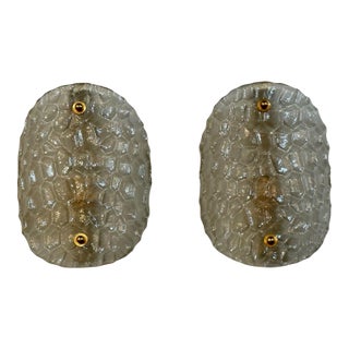 Pair of Modern Turtle Fume Sconces For Sale