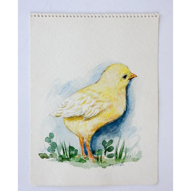 Watercolor on paper of baby yellow chick by Nancy Champion (20th century) Texas. Signed lower right corner. Unframed.