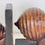 Wood Art Deco Shell-Shaped Bookends, Italy, 1930s, Set of 2 For Sale - Image 7 of 17