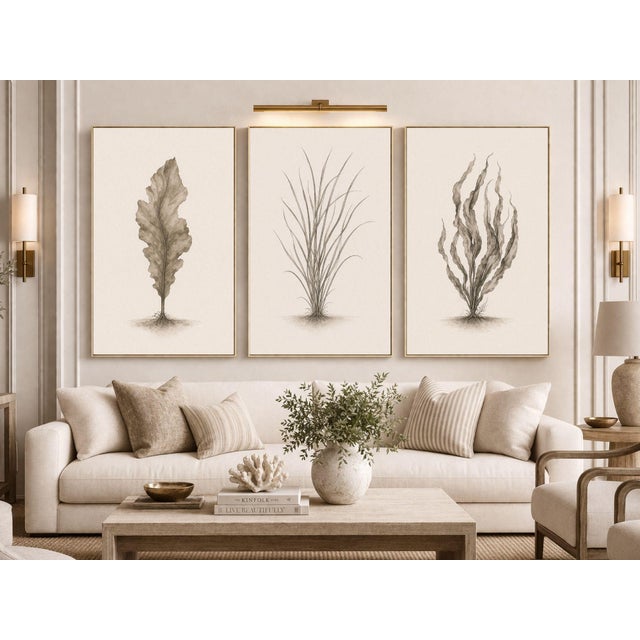 Contemporary Minimal Coastal Botanical Triptych, Seaweed Studies, 24" × 36" Each For Sale - Image 3 of 10