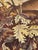 Antique French Aubusson Tapestry, 1890s For Sale - Image 10 of 18