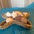 This decorative starfish-shaped woven basket is filled to the brim with a diverse collection of natural seashells, resting...