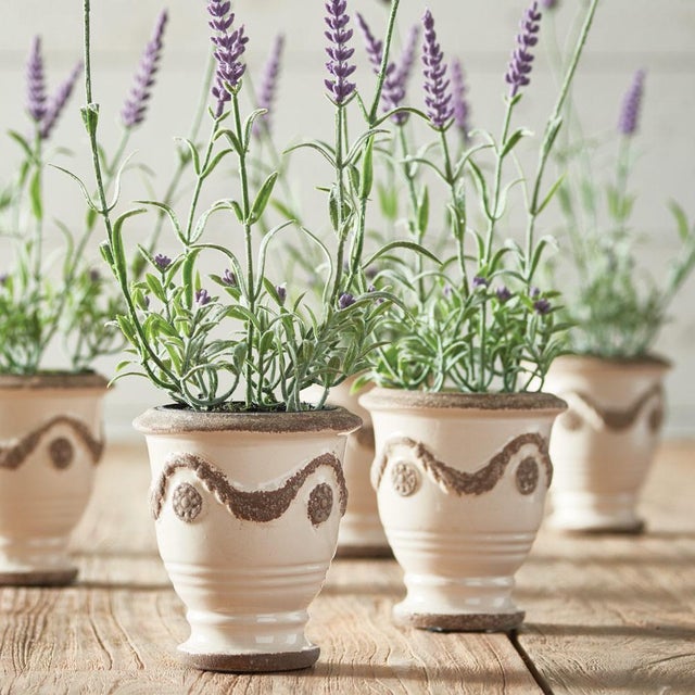 Modern French Lavender Drop-In 13", Set Of 6 For Sale - Image 3 of 3