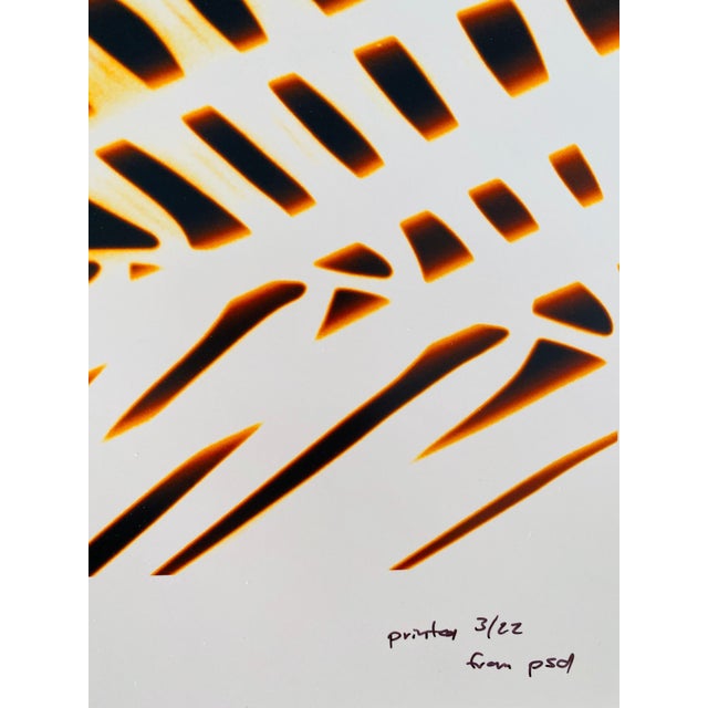 Contemporary Jeffrey Rothstein, Flora Fauna Series Vintage Color Photograph Abstract Flower Fuji Crystal Photo, c.1998 For Sale - Image 3 of 5