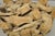 Mid-Century Modern Vintage Mid Century Modern Teak Wood Root Driftwood Coffee Table Pedestal Base For Sale - Image 3 of 11