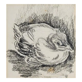 Small Vintage Baby Bird Charcoal Drawing For Sale