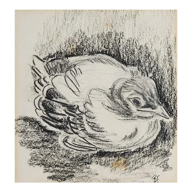 Small Vintage Baby Bird Charcoal Drawing For Sale