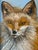 Original Impressionist Oil Painting Portrait of a Red Fox in Gold Frame For Sale In Philadelphia - Image 6 of 8