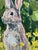 Bunny Painting II by Erin Tapp For Sale - Image 4 of 9