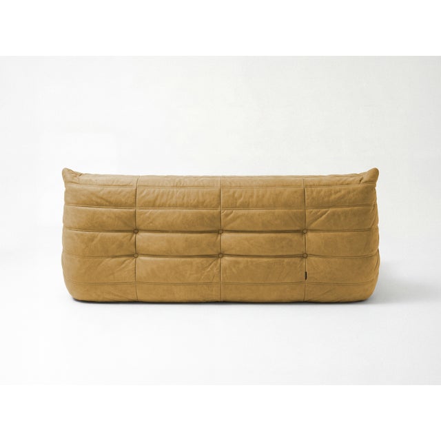 Togo Sofa in Curry Microfiber by Michel Ducaroy for Ligne Roset, Set of 5 For Sale - Image 6 of 12