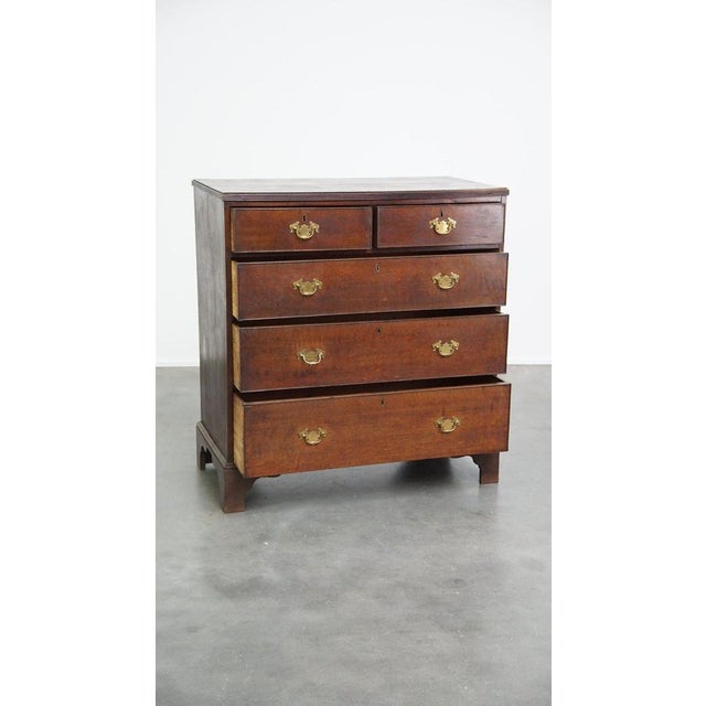 English Chest of Drawers with 5 Drawers For Sale - Image 3 of 14