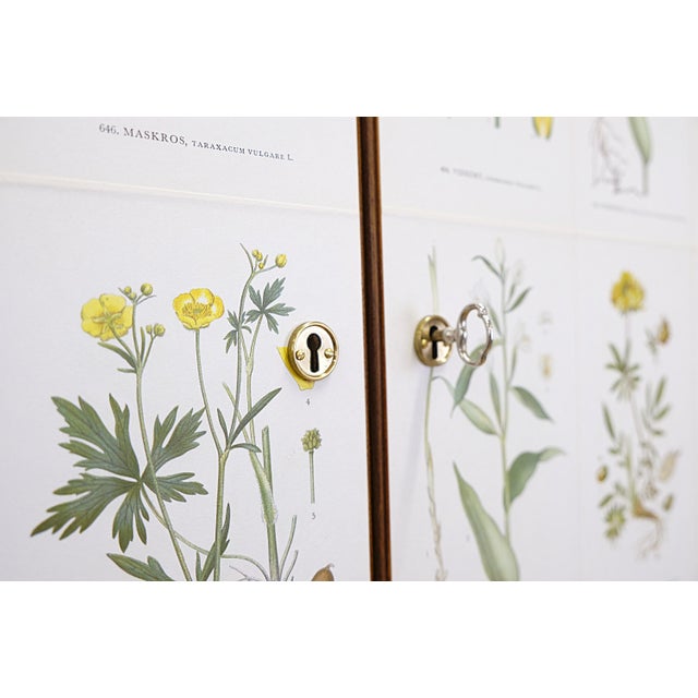 Brown Vintage Cabinet with Nordens Flora Illustrations in the style of Josef Frank, 1960s For Sale - Image 8 of 10
