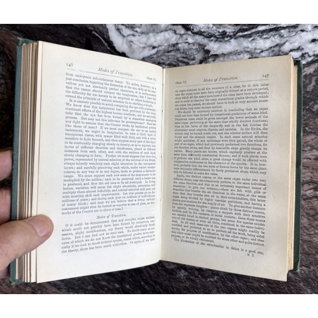 Charles Darwin the Origin of Species 1875 London Sixth Ed. Fifteenth Thousand. For Sale - Image 17 of 17