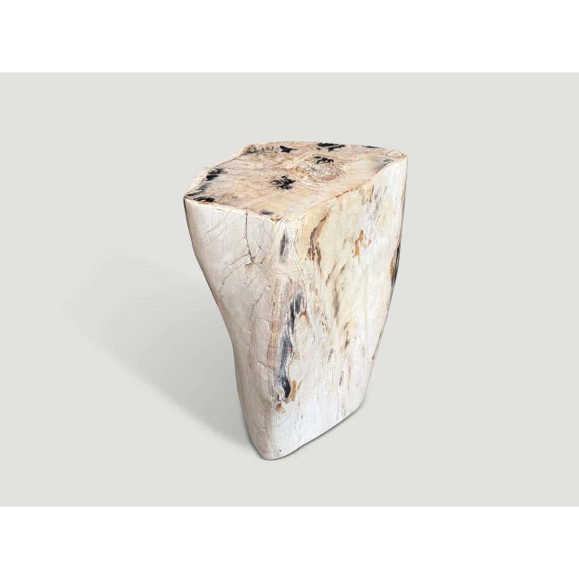 Contemporary Andrianna Shamaris Multifaceted Modern Organic Petrified Wood Side Table For Sale - Image 3 of 6
