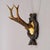 Antique Red Deer Trophy on Carved Plaque, Black Forest, Germany 1900 Item e8312 A great antique 6 ponter red deer (Cervus...