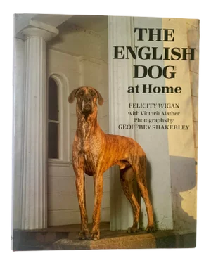 1986 the English Dog at Home, Chatto and Windus 1st Edition, Felicity Wigan