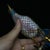 Metal Pair of Cloisonne Enamel Pheasant Figures – 7.7" Golden Bird Sculptures on Stands For Sale - Image 7 of 9