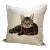 Country Pillow by Pierre D'Argent: The Cat For Sale
