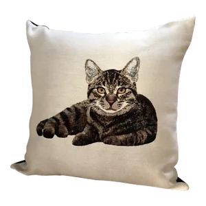 Country Pillow by Pierre D'Argent: The Cat