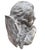 Beige Stone Cherub Head, 1750-1780 For Sale - Image 8 of 9