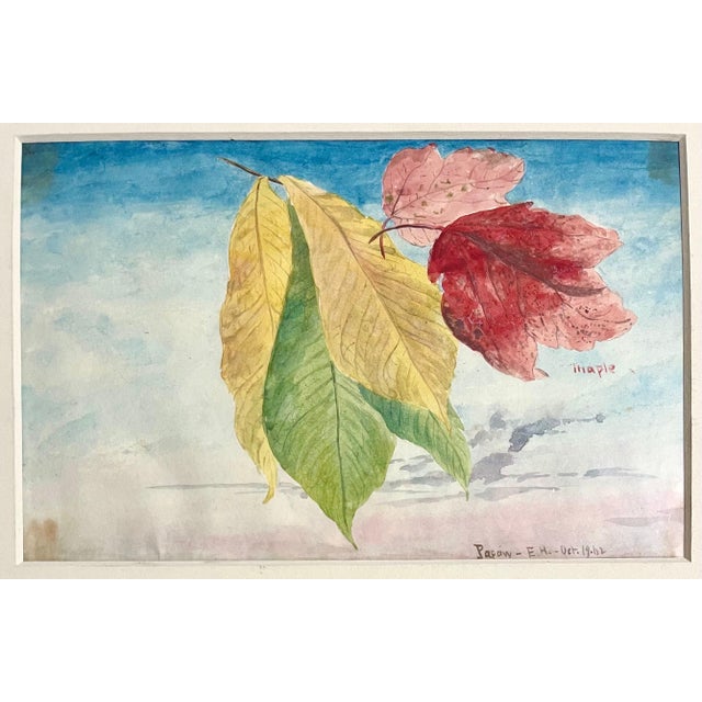 1900 - 1909 Charles De Wolf Brownell, Maple Leaves Watercolor Painting 19th C. American Artist Charles DeWolf Brownell, 1902 For Sale - Image 5 of 13