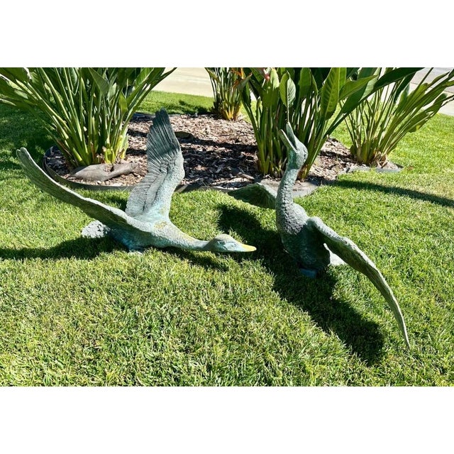 1920s Pair of Large Japanese Bronze Garden Duck Sculptures – Verdigris Patina, Life-Size Waterfowl Statues For Sale - Image 11 of 18