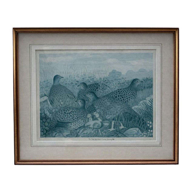 Traditional Vintage Framed Watercolor Lithographs of Spurfowl & Pheasants, Set of 2 For Sale - Image 3 of 11