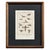 Wood Early 19th Century Cabinet of Curiosities, Set of 9 | Buffon Natural History Engravings of Spiders, Insects & Reptiles For Sale - Image 7 of 11