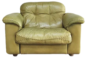 Vintage DS 101 Leather Lounge Chair from de Sede