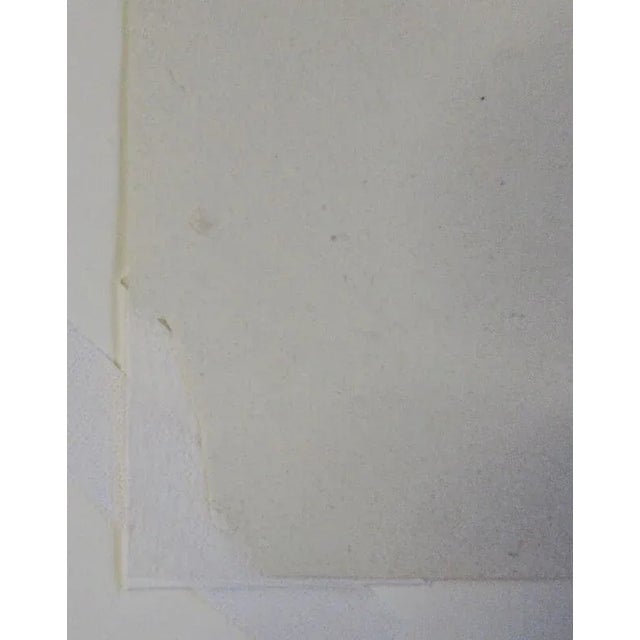 Charles Meryon Le Stryge the Vampire Etching 1853 Paris Notre Dame Cathedral For Sale - Image 11 of 12