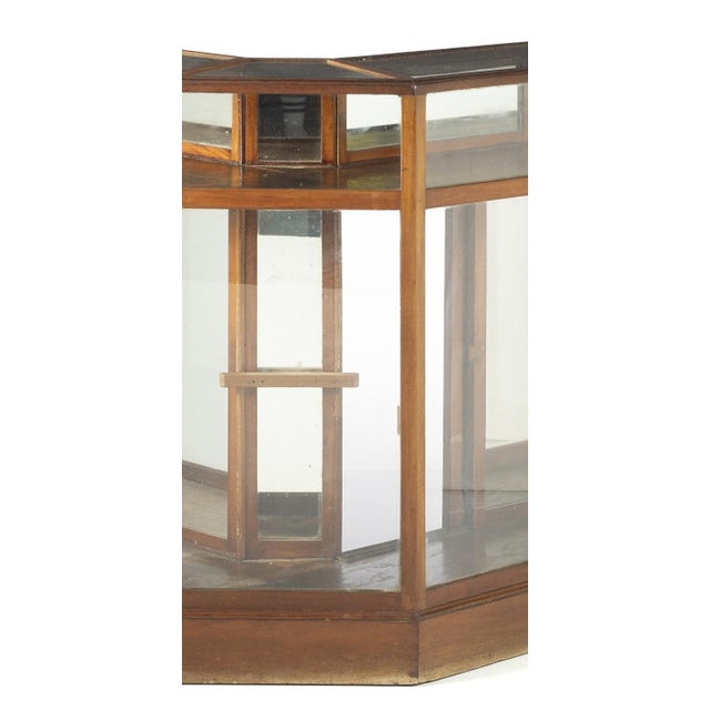 Wood Counter Display Case, 19th Century For Sale - Image 7 of 8
