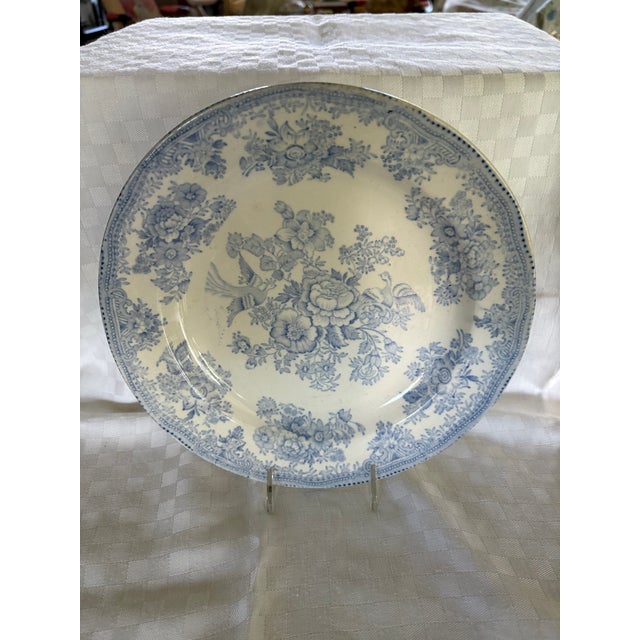 A 19th C English dinner plate in the Asiatic Pheasant design. The plate is transfer ware in a cornflower blue color on a...