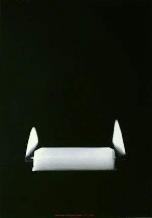 1993 Alfredo Jaar Aids Poster
