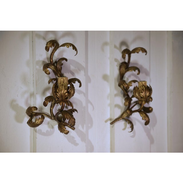 Vintage Floral Wall Sconces in Gilt Steel, 1960s, Set of 2 For Sale - Image 6 of 8