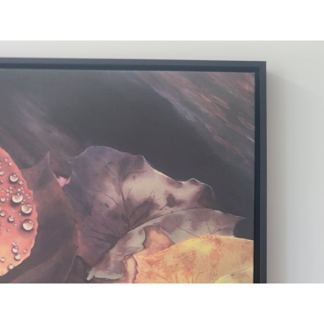 Large Rebecca Hodges Canvas Print of Autumn Leaves in Black Floating Frame For Sale - Image 9 of 11