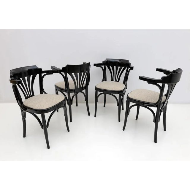 Four bistro model chairs, French production from the 1970s, in ebonized beech. Polished with shellac and with new Bouclè...