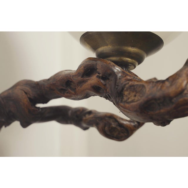 Brown Vintage Organic Brutalist Vine Root Wall Lamp with Globe, 1960s For Sale - Image 8 of 18