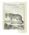 Jean Charles Baquoy, Le Loup, Etching, 1771 For Sale
