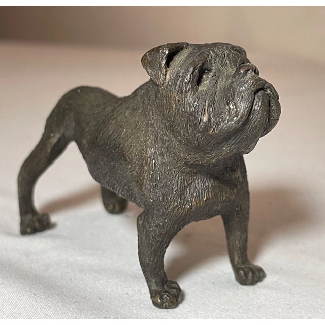 1920s Antique Austrian Miniature Bronze Dog Bulldog Statue Figure Sculture Realistic For Sale - Image 5 of 12