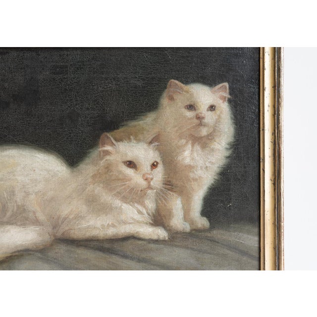 Portrait of a Pair of White Cats, Antique Original Oil Painting, Attributed to Arthur Heyer, Late 19th/Early 20th C. For Sale - Image 4 of 11
