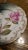 Antique Rosenthal Hand Painted Plate For Sale In Seattle - Image 6 of 11