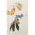 1966 Vintage Cottage Print "Azure Warbler & Berries" After John James Audubon For Sale In Dallas - Image 6 of 8