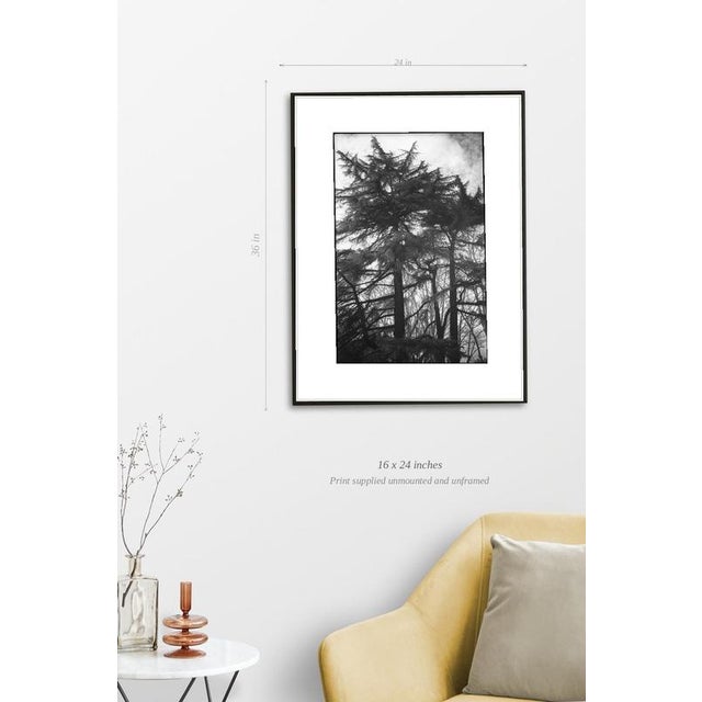 Paul Cooklin, Rome 00002, Edition of 50 For Sale - Image 4 of 4