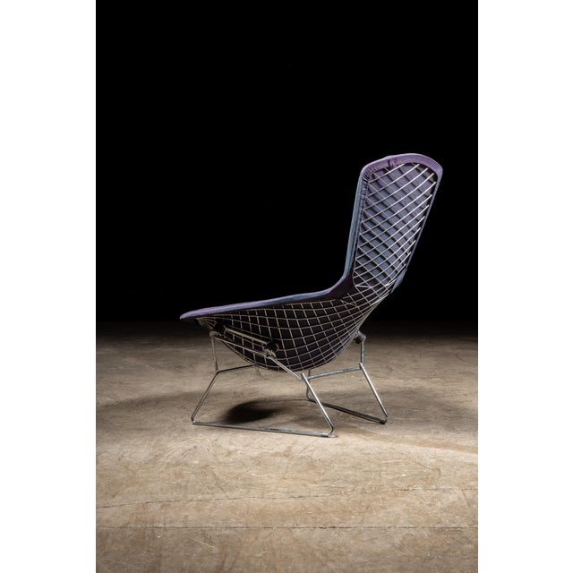Knoll 1970s Bird Chair by Herry Bertoia Bird for Knoll For Sale - Image 4 of 13